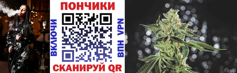 Бошки марихуана семена  как найти   Кукмор 